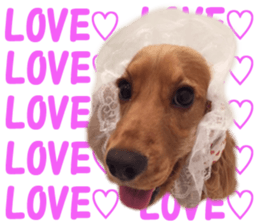 Our family member, Matsuge & Nasan sticker #14640369