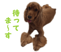 Our family member, Matsuge & Nasan sticker #14640371