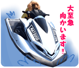 Our family member, Matsuge & Nasan sticker #14640372