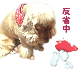 Our family member, Matsuge & Nasan sticker #14640373