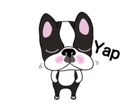 Animated Boston Terrier 2 sticker #14640552