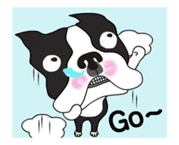 Animated Boston Terrier 2 sticker #14640556