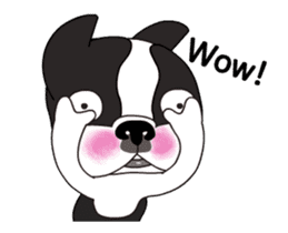 Animated Boston Terrier 2 sticker #14640557