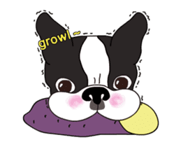 Animated Boston Terrier 2 sticker #14640560