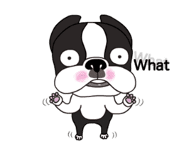 Animated Boston Terrier 2 sticker #14640562