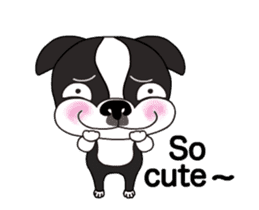 Animated Boston Terrier 2 sticker #14640565
