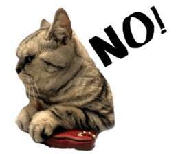 A cat from Saturn 4 sticker #14641303