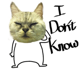 A cat from Saturn 4 sticker #14641304