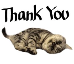 A cat from Saturn 4 sticker #14641305