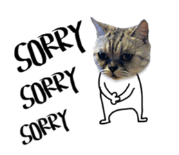 A cat from Saturn 4 sticker #14641307