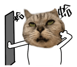 A cat from Saturn 4 sticker #14641309