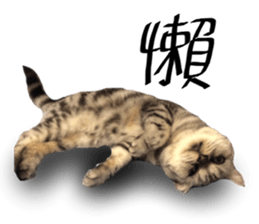 A cat from Saturn 4 sticker #14641311