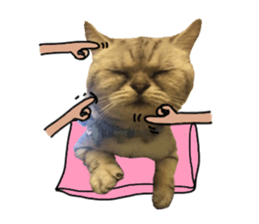 A cat from Saturn 4 sticker #14641313