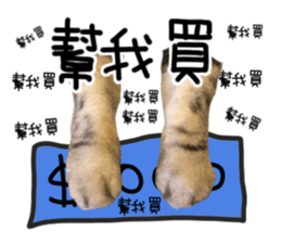 A cat from Saturn 4 sticker #14641314