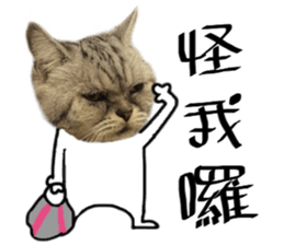 A cat from Saturn 4 sticker #14641316