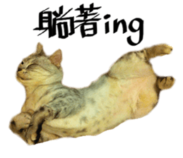 A cat from Saturn 4 sticker #14641319