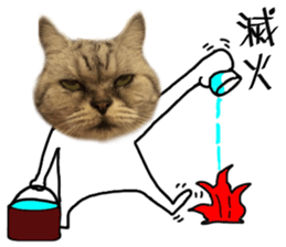 A cat from Saturn 4 sticker #14641320