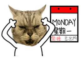 A cat from Saturn 4 sticker #14641321