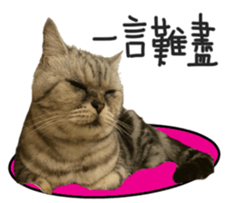 A cat from Saturn 4 sticker #14641322
