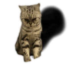 A cat from Saturn 4 sticker #14641323