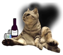 A cat from Saturn 4 sticker #14641326