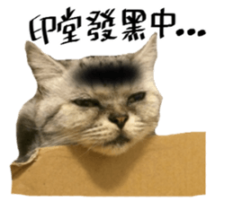 A cat from Saturn 4 sticker #14641328