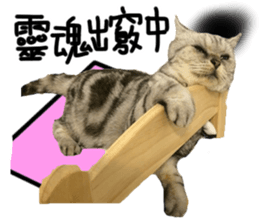 A cat from Saturn 4 sticker #14641329
