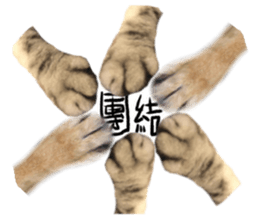 A cat from Saturn 4 sticker #14641330