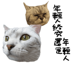 A cat from Saturn 4 sticker #14641331