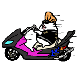 regent 5 sticker #14642266