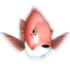 Fishing Animation Sticker 2