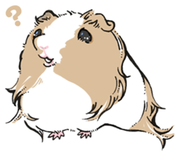 Tokorozawa&Momo sticker #14645220