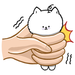 Foo Foo cute little dog