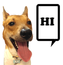 Jill Jill and Jake Jake 1 sticker #14648590