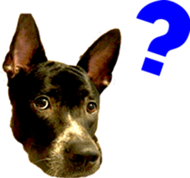 Jill Jill and Jake Jake 1 sticker #14648591