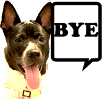 Jill Jill and Jake Jake 1 sticker #14648592