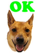 Jill Jill and Jake Jake 1 sticker #14648595