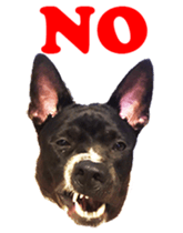 Jill Jill and Jake Jake 1 sticker #14648596