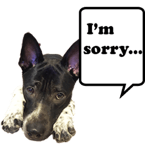 Jill Jill and Jake Jake 1 sticker #14648597