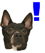 Jill Jill and Jake Jake 1 sticker #14648599