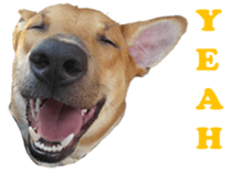 Jill Jill and Jake Jake 1 sticker #14648600