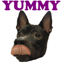 Jill Jill and Jake Jake 1 sticker #14648602