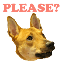 Jill Jill and Jake Jake 1 sticker #14648604