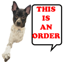 Jill Jill and Jake Jake 1 sticker #14648606