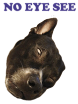 Jill Jill and Jake Jake 1 sticker #14648607