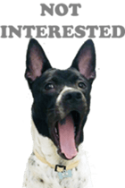 Jill Jill and Jake Jake 1 sticker #14648608