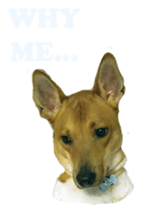 Jill Jill and Jake Jake 1 sticker #14648609