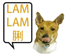 Jill Jill and Jake Jake 1 sticker #14648610