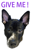 Jill Jill and Jake Jake 1 sticker #14648612