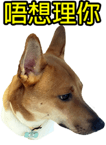 Jill Jill and Jake Jake 1 sticker #14648613